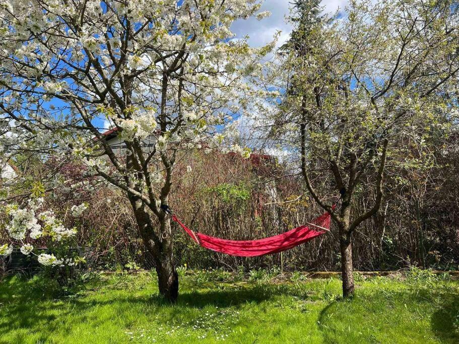 Apartament W ,Chlewiku” Gołdap 外观 照片